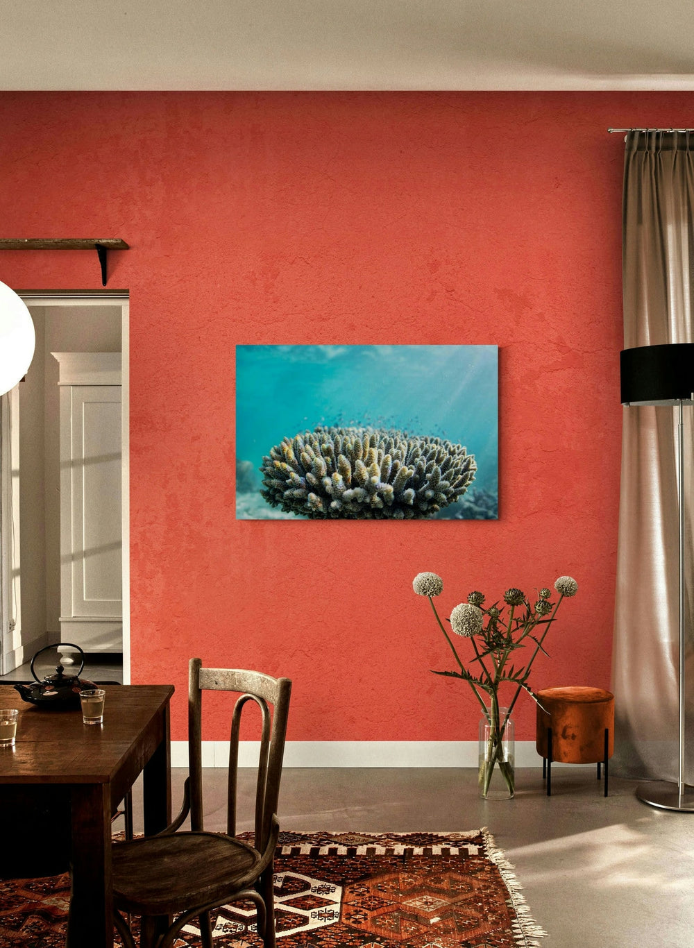 The Reef in a room