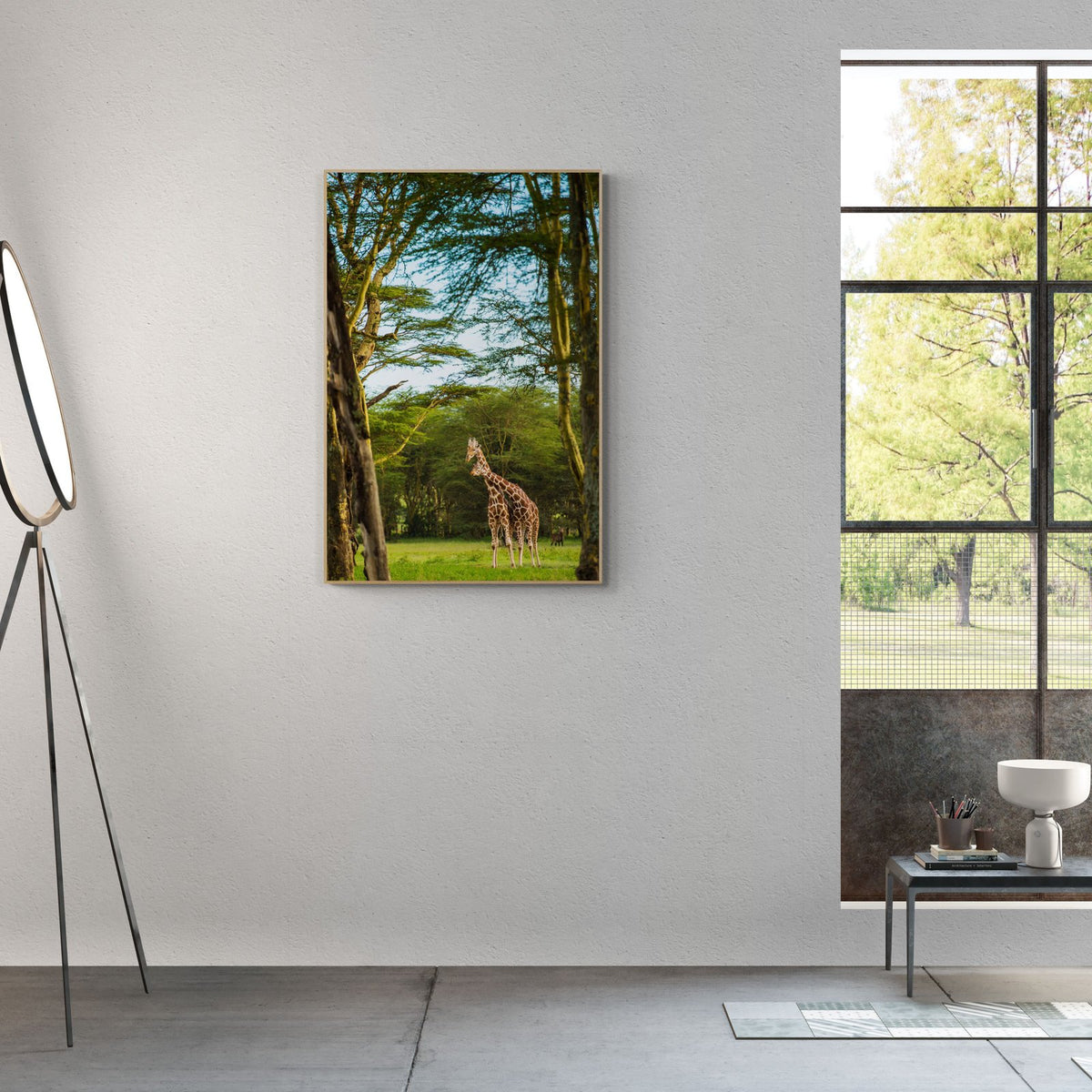 The Reticulated Giraffe in a room
