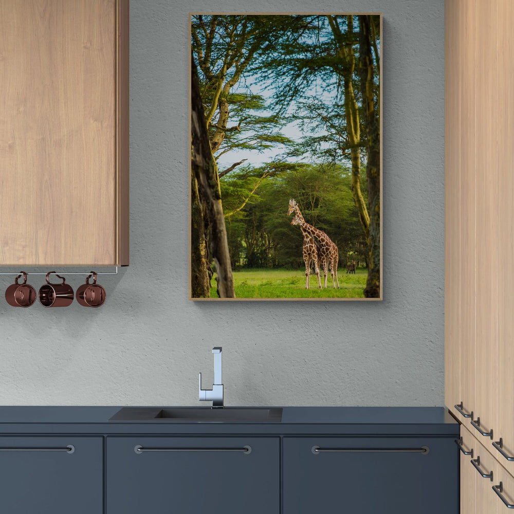 The Reticulated Giraffe in a room