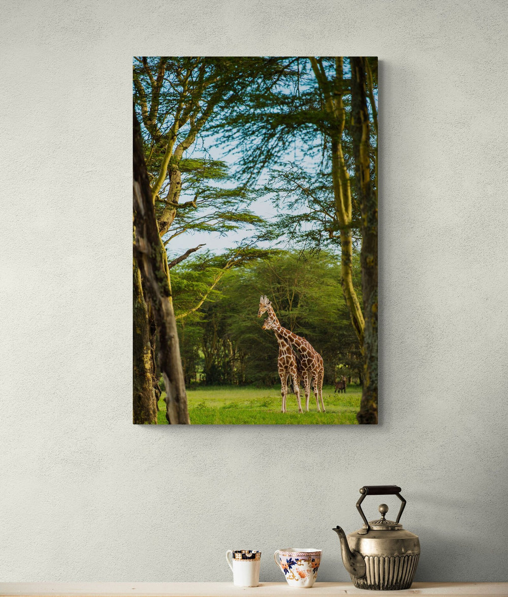 The Reticulated Giraffe in a room