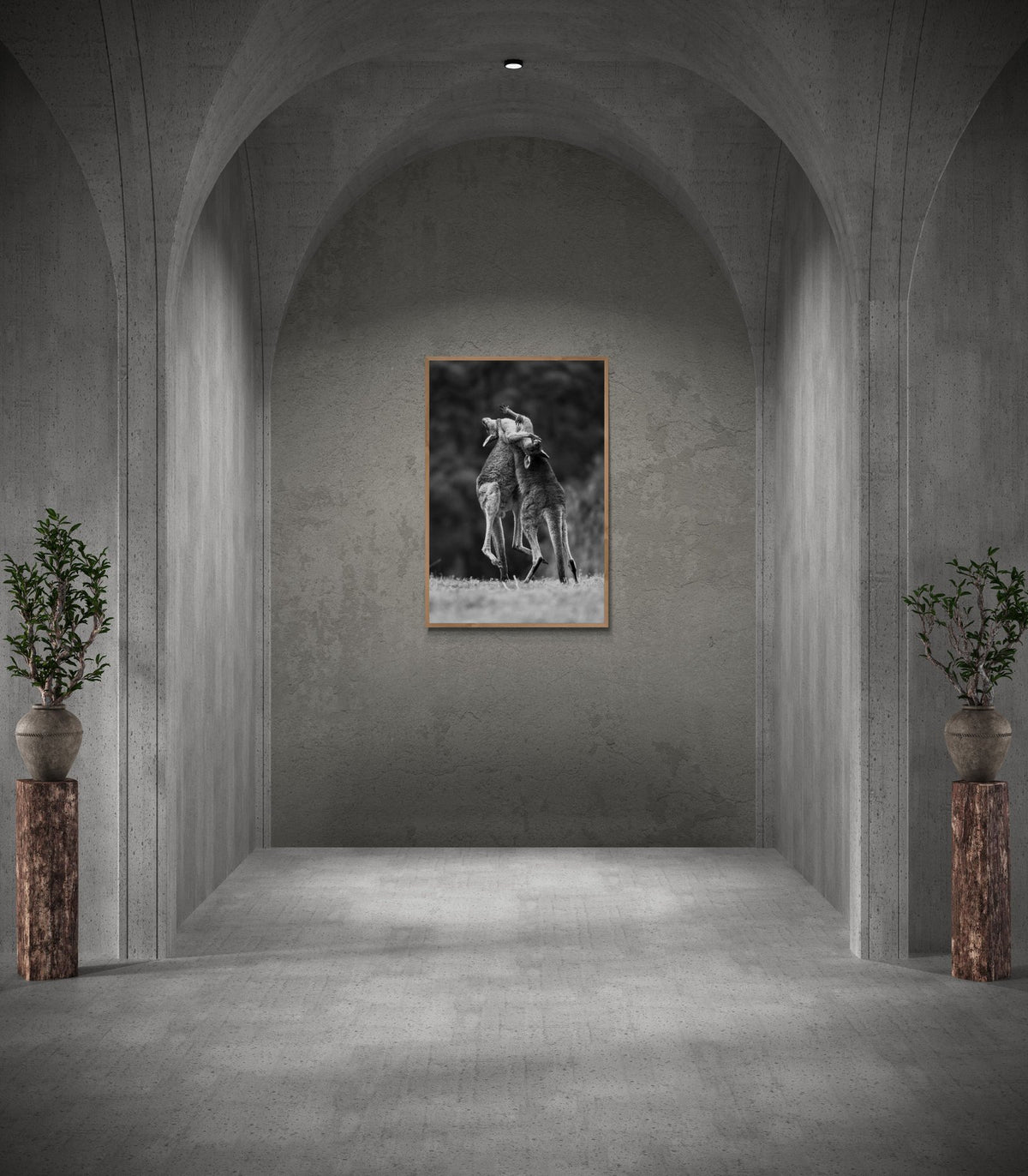 Kangaroo art print — The Scrap by Jake Wilton — view 2 in a room
