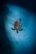 Underwater