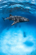 Underwater