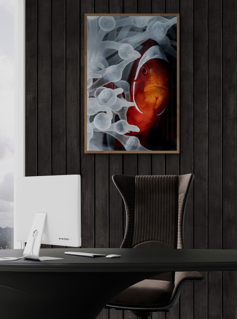 Clownfish art print — The Serious by Jake Wilton — view 4 in a room