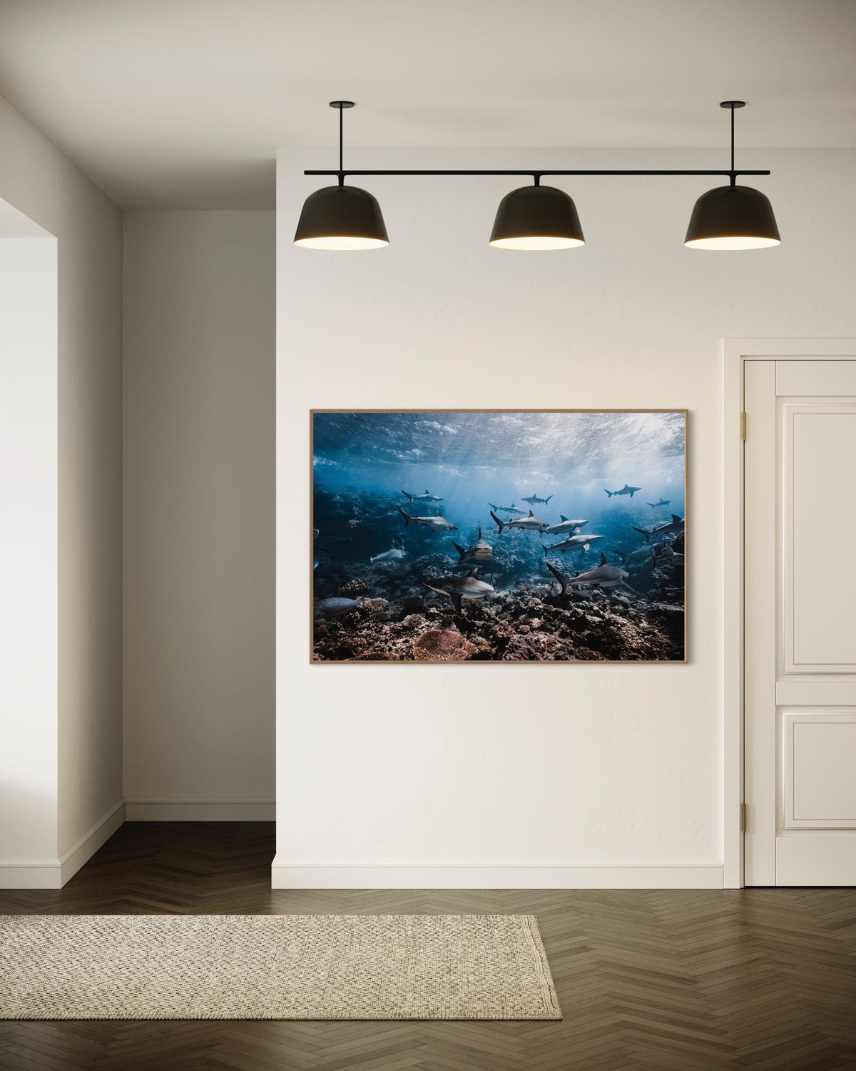 Shark art print — The Shark Paradise by Daniel Nicholson — view 3 in a room