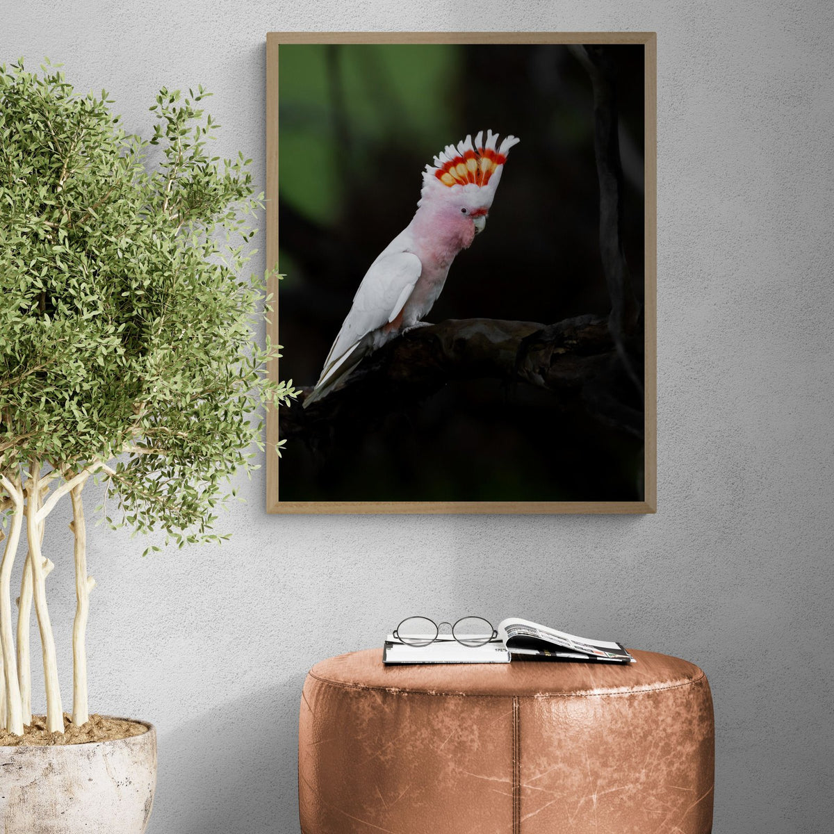 The Show Off — limited-edition art print by Jake Wilton — view 2 in a room