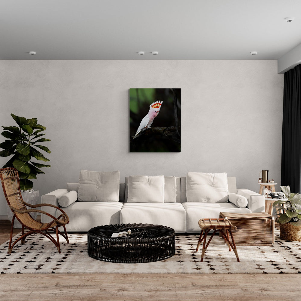 The Show Off — limited-edition art print by Jake Wilton — view 4 in a room