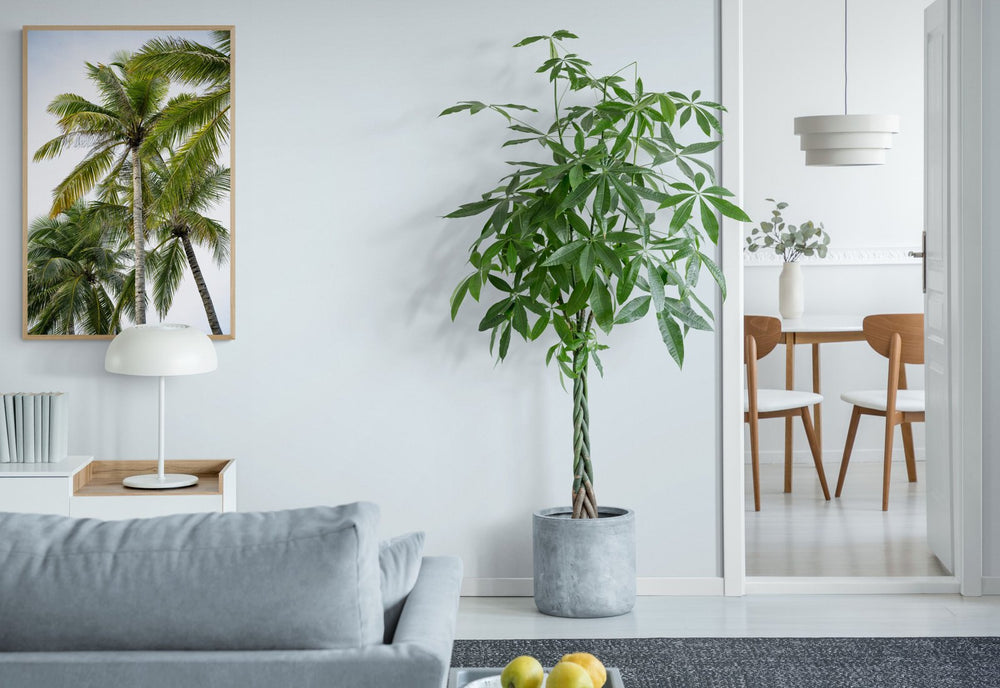 The Simplicity — limited-edition art print by Jake Wilton — view 4 in a room