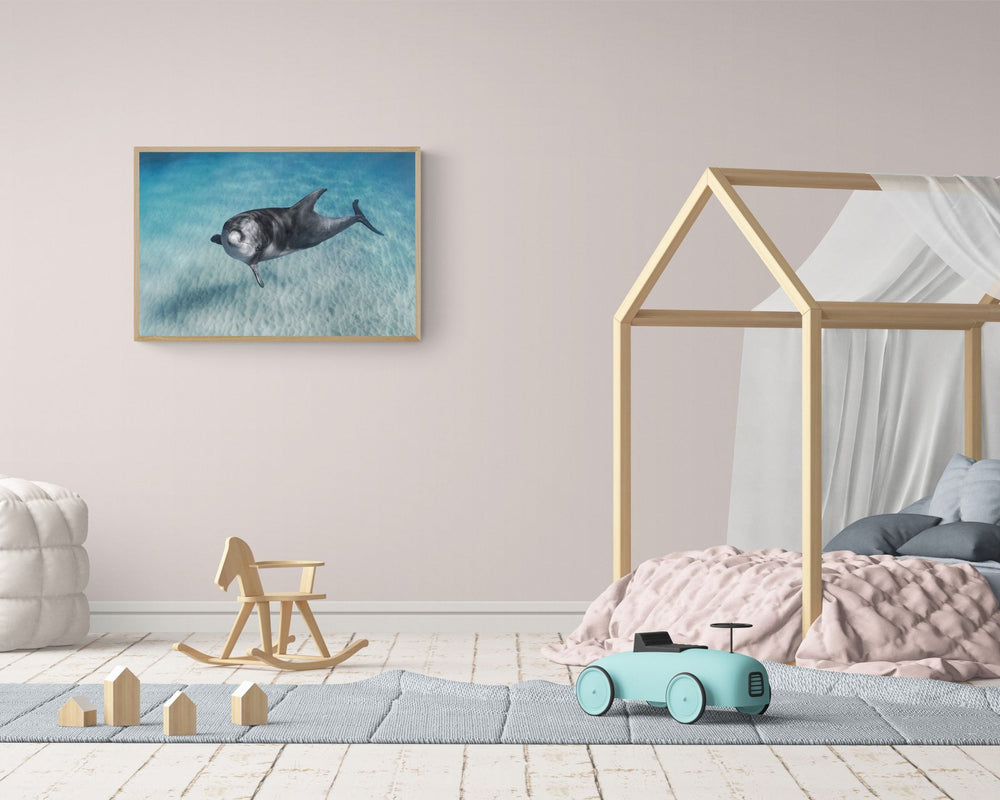 The Smart in a room