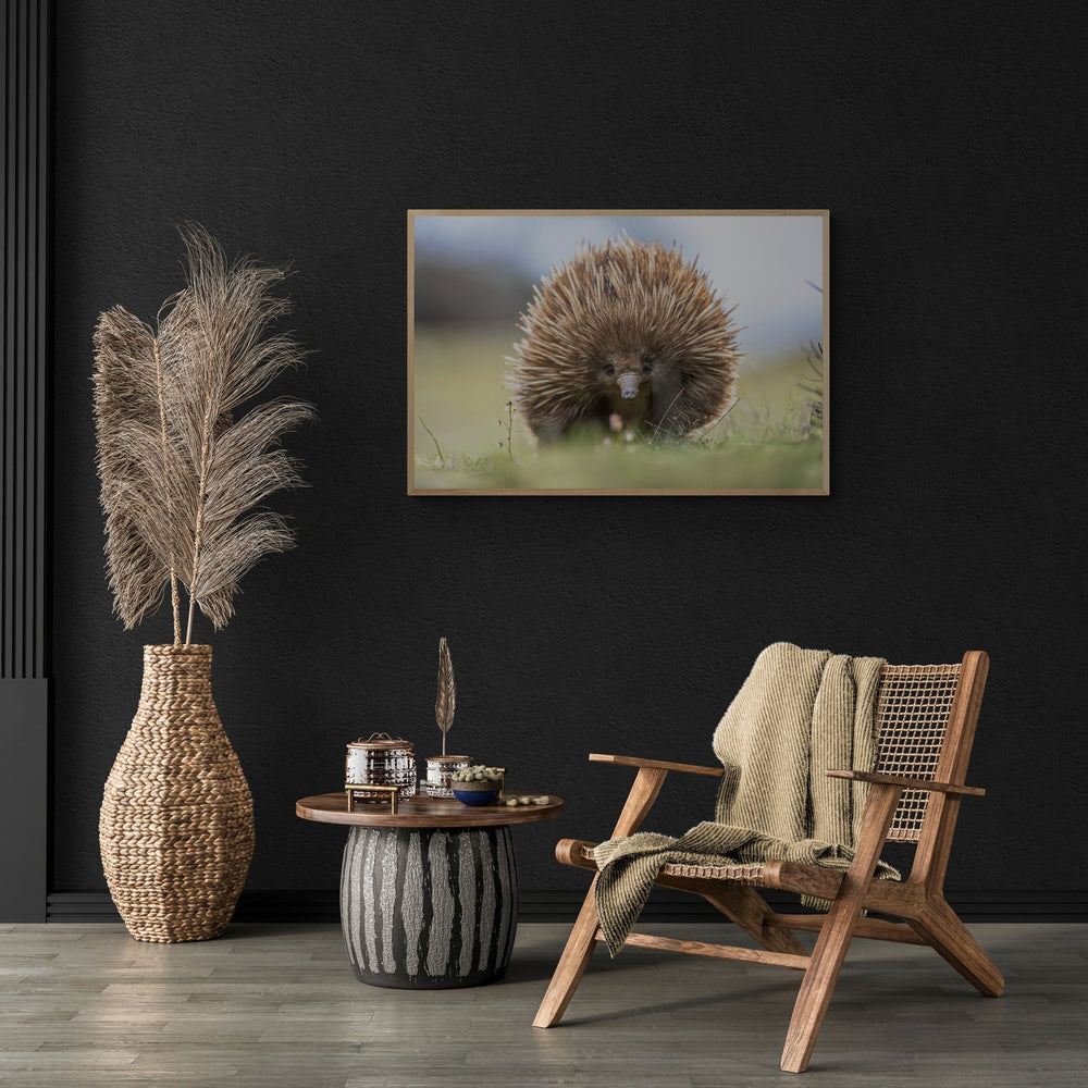 The Spike in a room