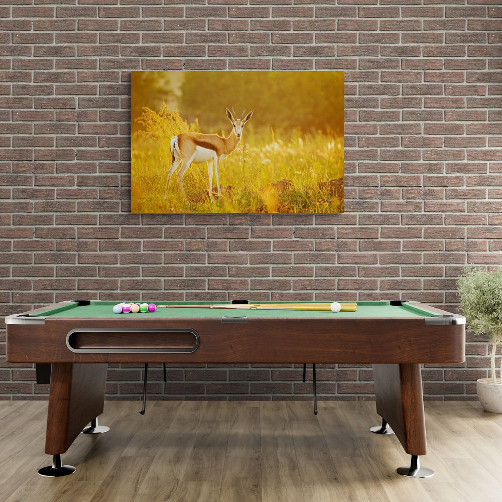 Springbok art print — The Spring Book by Shannon Wild — view 4 in a room