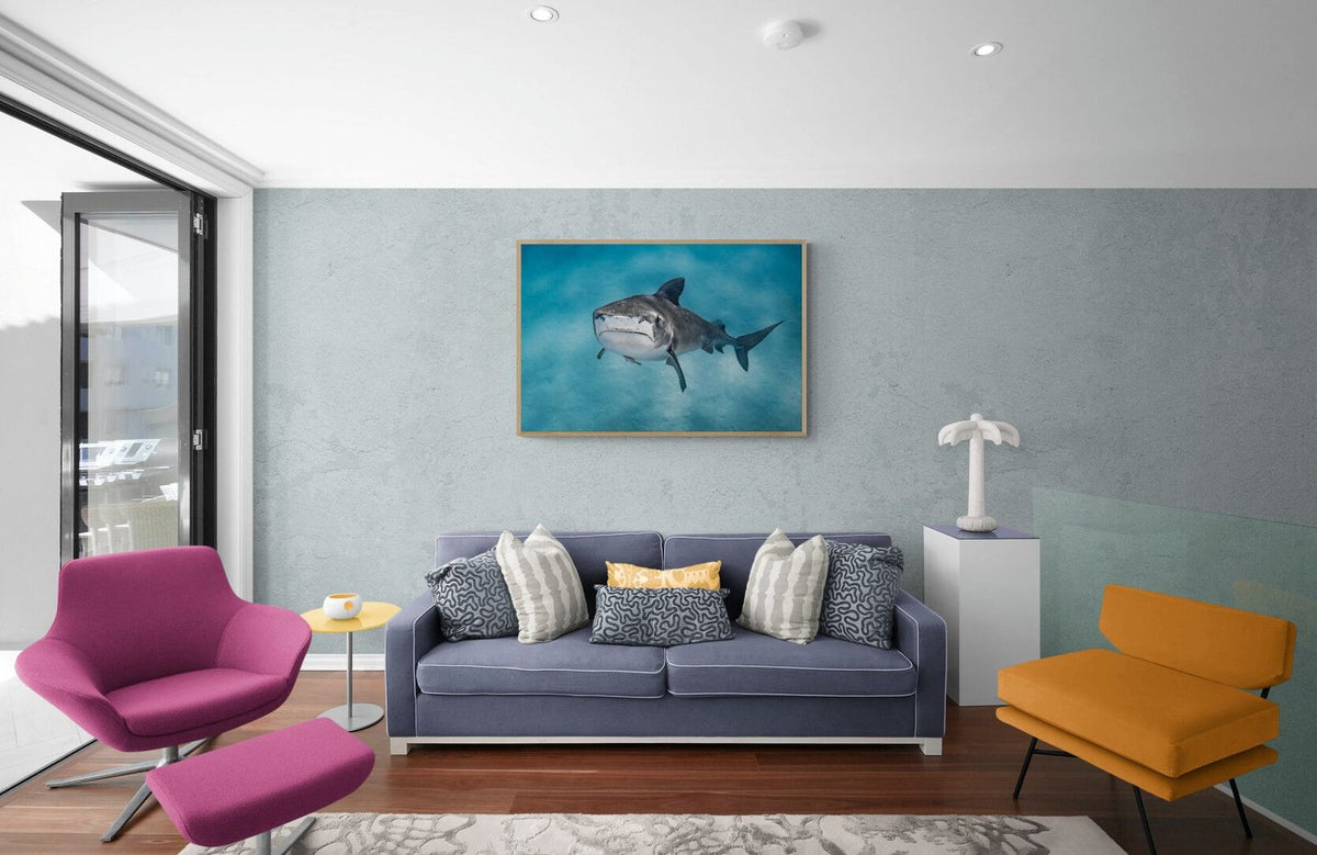 Shark art print — The Stare by Jake Wilton — view 2 in a room