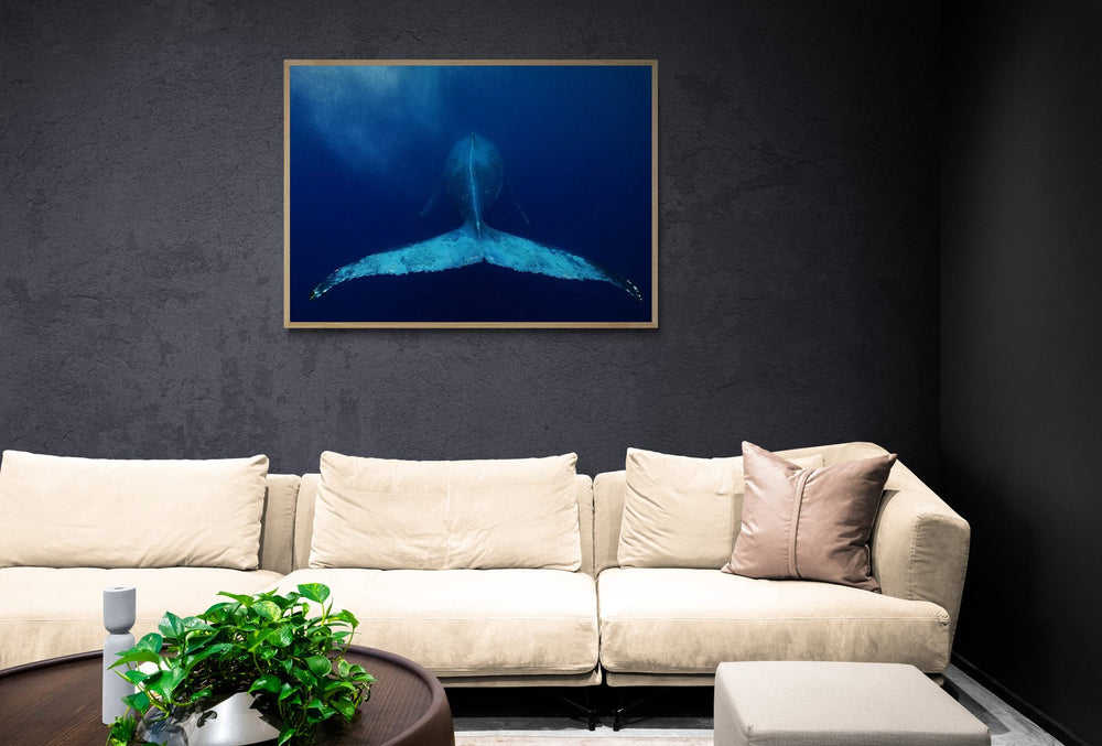 The Tail in a room