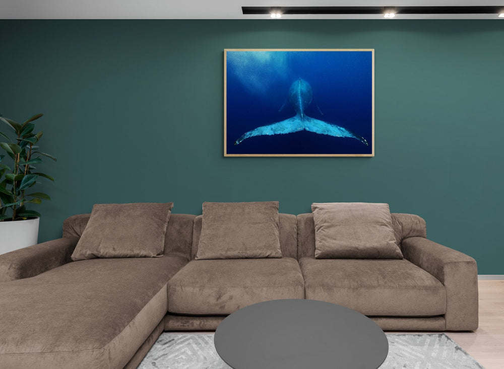 The Tail — limited-edition art print by Paul Hilton — view 4 in a room