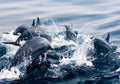 Underwater