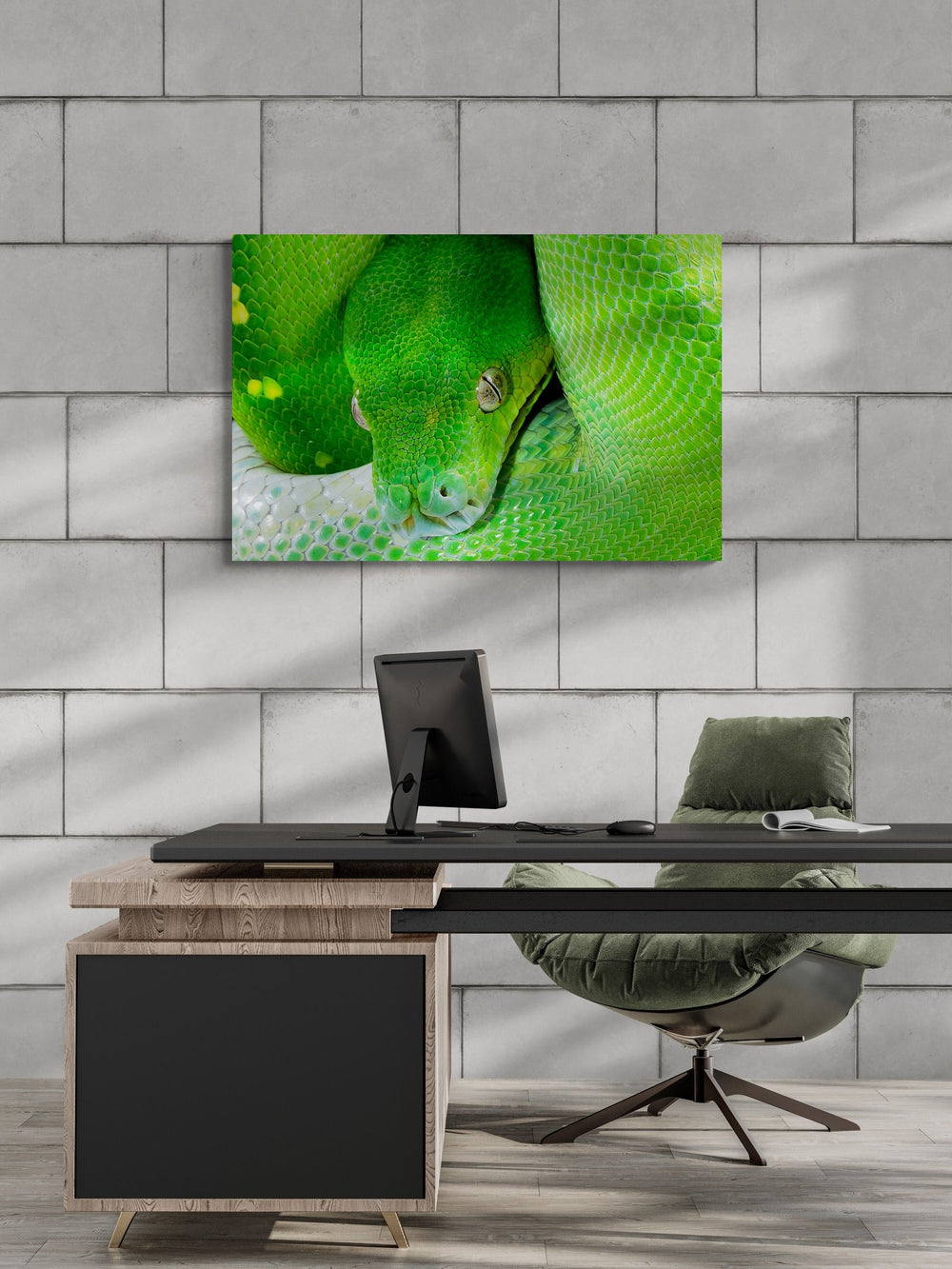 The Tree Python in a room
