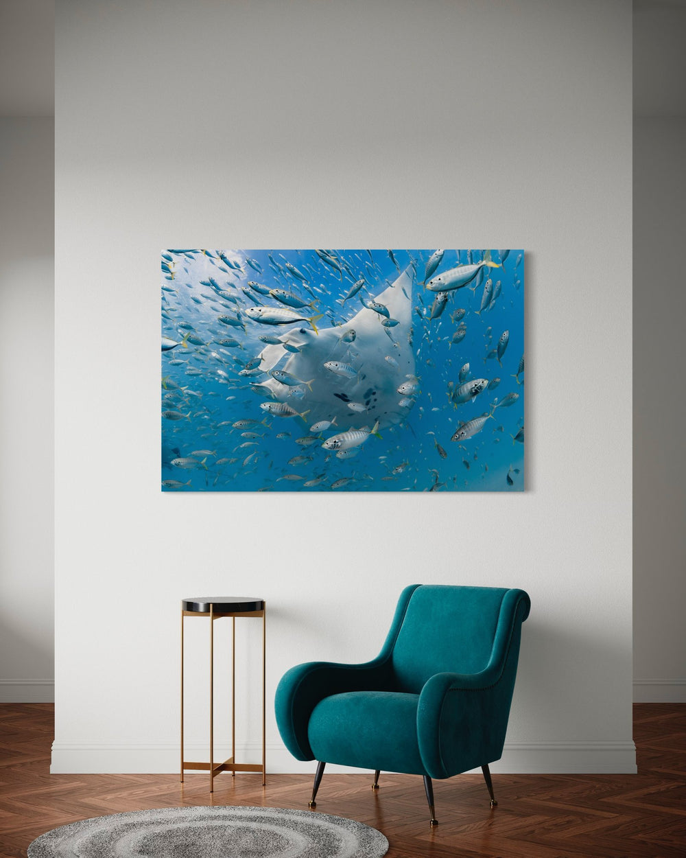 Manta ray art print — The Veil by Jake Wilton — view 4 in a room