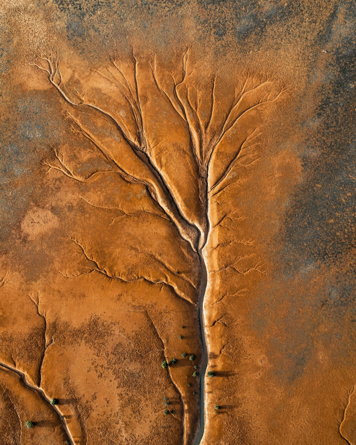 The Vein, up close