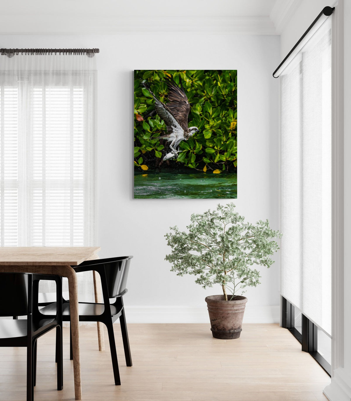 Mangrove art print — The Win by Jake Wilton — view 3 in a room