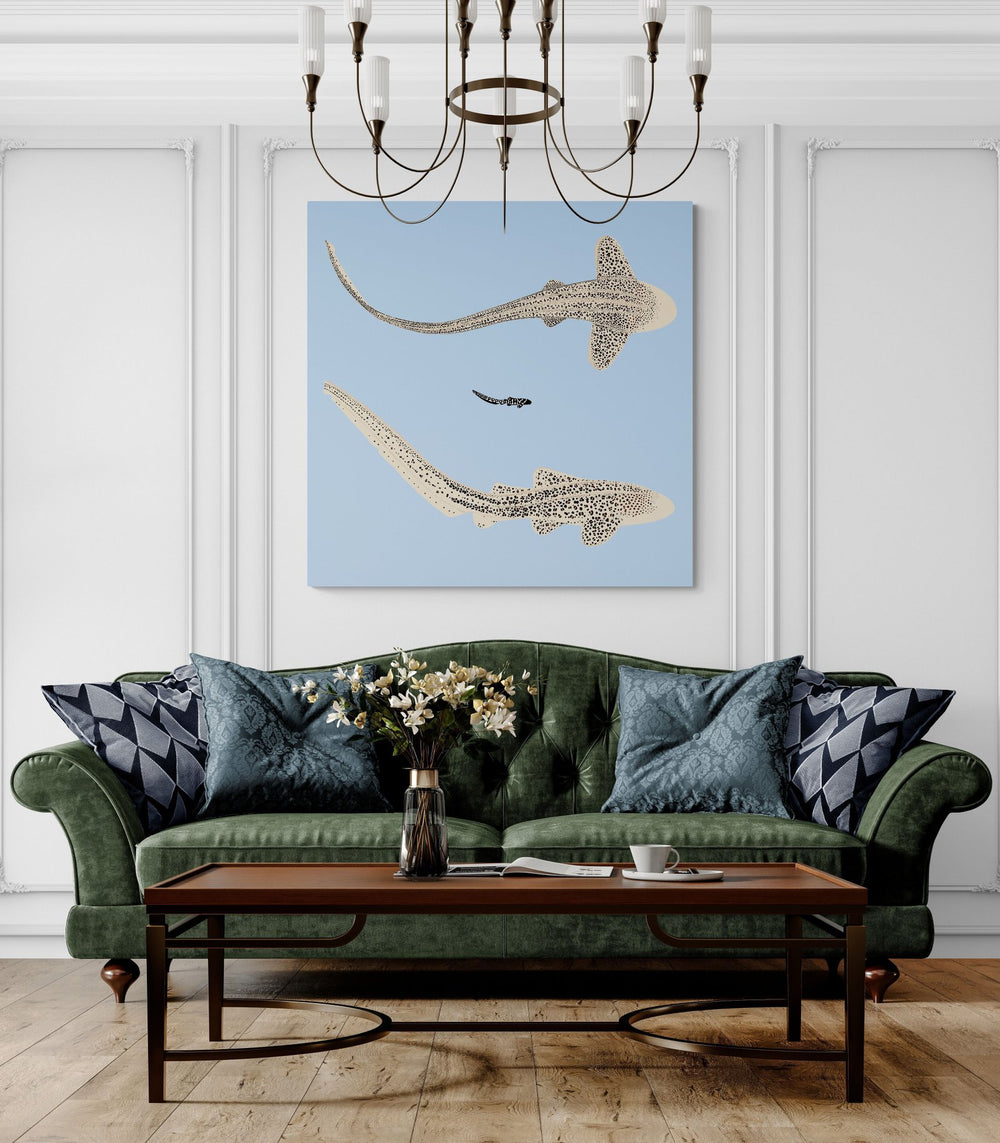 The Zebra Shark in a room