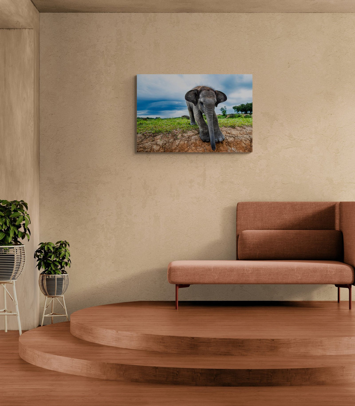 Elephant art print — The Baby by Paul Hilton — view 3 in a room