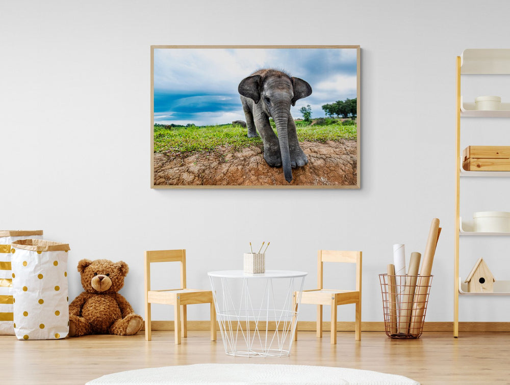 Elephant art print — The Baby by Paul Hilton — view 4 in a room