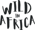 Wild in Africa